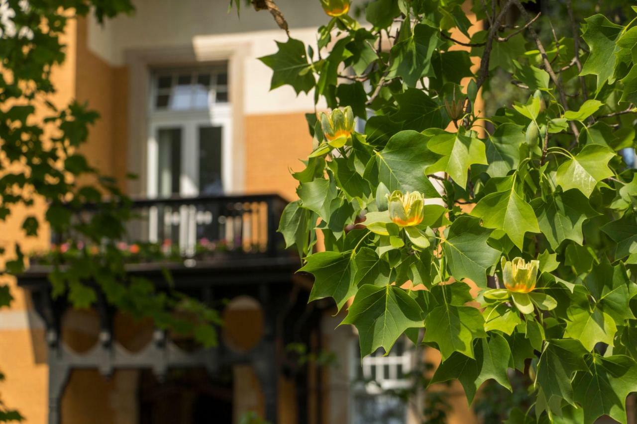 Gaestehaus Musmann Munden  Екстер'єр фото